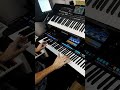 Semino Rossi - Rot Sind Di Rosen Mix I Live Synth Performance I Yamaha & Korg