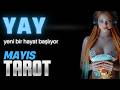 Yay Burcu Mayıs Tarot