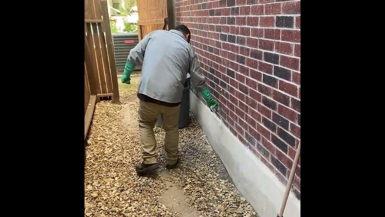 Pest Control Dusting Weep Holes YouTube