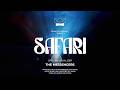 SAFARI Bado The Messengers OFFICIAL VISUALIZER