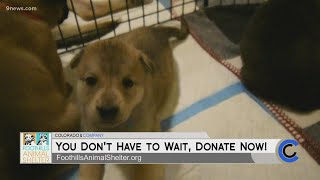 Foothills Animal Center - December 1, 2021
