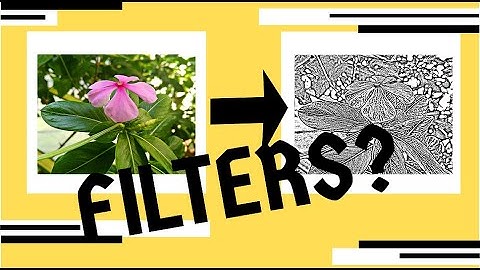 How does sketch filter  work ? | Edge detection illustration