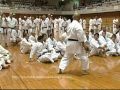 Tsuguo sakumoto ryueiryu karate