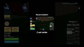 Falcon Bloxfruit #shorts #roblox #bloxfruits #med #notog #dvplays #gaming #xbox #dragonfruit #falcon