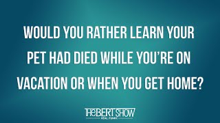 Would You Rather Learn Your Pet Had Died While You’re On Vacation Or When You Get Home?