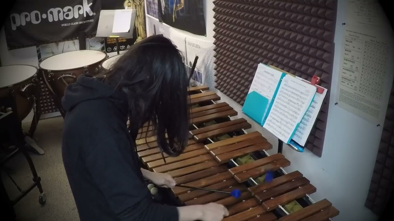 Hungarian Dance No. 5 performed by Carlos Sanchez