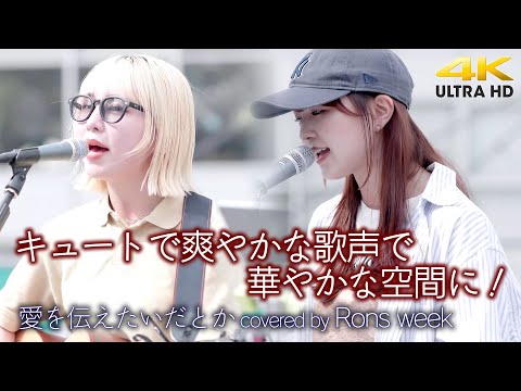【 歌うま 】キュートで爽やかな歌声で華やかな空間に！ 愛を伝えたいだとか / あいみょん（covered by Rons week ）  横須賀コラボライブ 4K映像