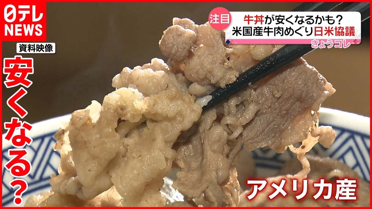 アメリカ産牛肉 安く手に入る期待高まる Youtube
