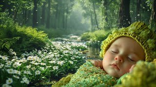 Forest Dream  Spring relaxation music [ Guitar ] & birdsong & noise of a stream in the forest