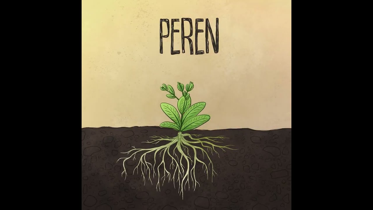 Watch Nuanțe - Peren (Official Visualizer) on YouTube Watch Nuanțe - Peren (Official Visualizer) on YouTube
