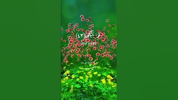وَأَنَّ إِلَىٰ رَبِّكَ الْمُنتَهَىٰ #سيد_سعيد #تلاوة_خاشعة #اكسبلور #quran #explore