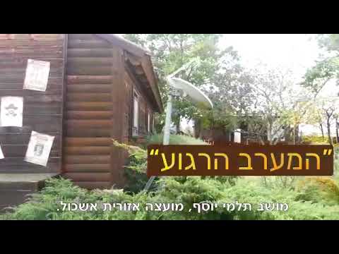 סרטון וידאו
