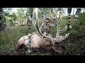 Elk hunting jurassic park my biggest elk to date