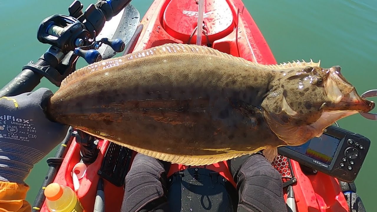 2022 Early Halibut Fishing at Oyster Point in San Francisco Bay YouTube