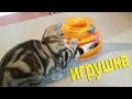 ИГРУШКА ДЛЯ КОТА С AliExpress, КОТ ДОВОЛЕН:)