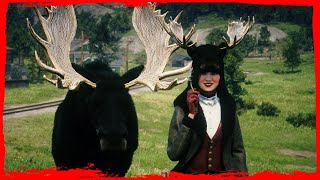 Red Dead Online - Legendary Knight Moose Location - How To Craft Knight Moose Garment
