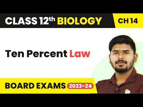 வகுப்பு 12 உயிரியல் அத்தியாயம் 14 | பத்து சதவீத சட்டம் - சுற்றுச்சூழல் அமைப்பு