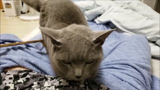ピンッ！