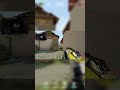 4 kill and 2 Satisfying Headshots #shorts #valorant #games