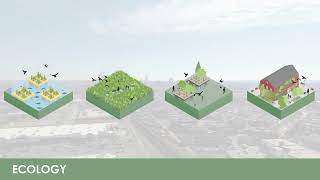 Overbrook Eco-Zone Stressors | Thomas Jefferson University
