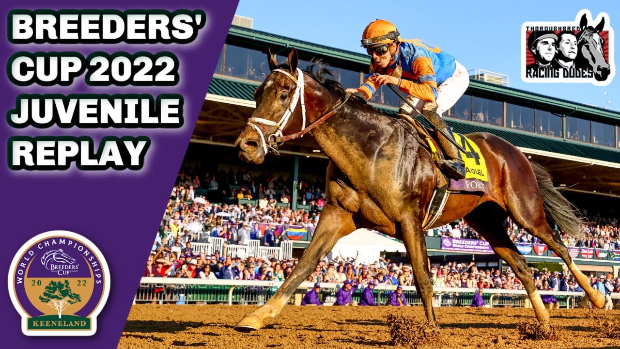 2022 Breeders' Cup Juvenile Replay FORTE Leaves No Doubt As Champ