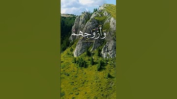 القارئ عبد العزيز سحيم| راحة نفسية| #قران كريم صوت جميل