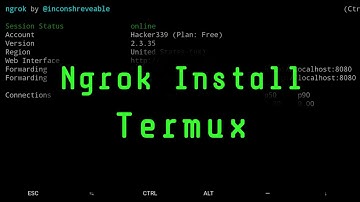 How to install ngrok in termux and termux port forwarding without error (no root)