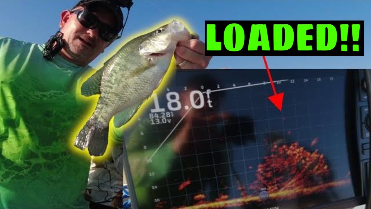 Crappie Fishing a Giant Brush Pile with a DIY Jig WOW!!! YouTube