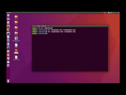 TerminalLab: Rename a file from the terminal [Ubuntu]