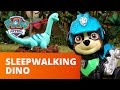 PAW Patrol | Pups Save a Sleepwalking Dino | Toy Episode | PAW Patrol Official & Friends