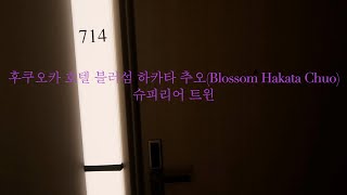 후쿠오카 호텔/블러섬 하카타 추오(Blossom Hakata Chou)/샴드뱅