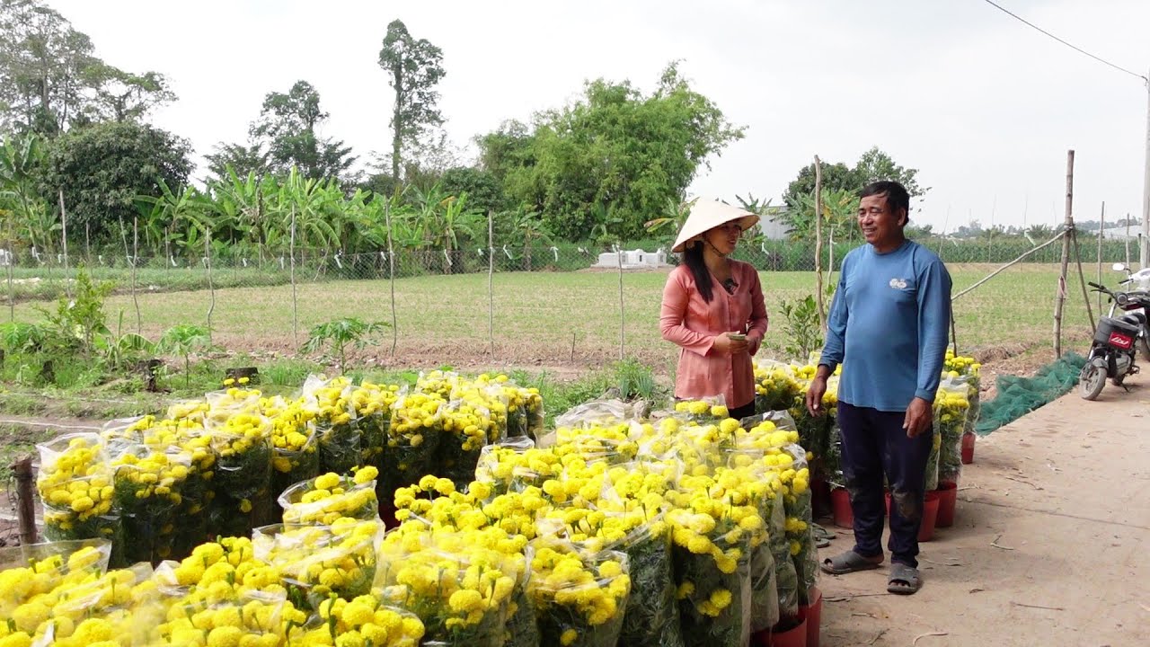 Thương Hoàn Cảnh Chú Đô vẫn chưa bán Hết Bông Vạn Thọ Anh Mua Giúp Hết Bông Cho Chú Ăn Tết |HQ #1088