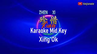 珍惜  Zhen Xi Mid Key | Mandarin Karaoke No Vocal