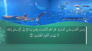 ته فسيرا ب ساناهي سورة(الصف)بدەنگی( تحسین إبراهيم دوسكي) قورئان خوين (محمد صديق المنشاوي)