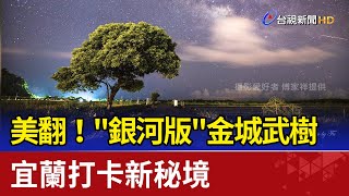 美翻！&quot;銀河版&quot;金城武樹宜蘭打卡新秘境 