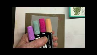 Vellum Background with Stampin' Blends and Alcohol screenshot 5