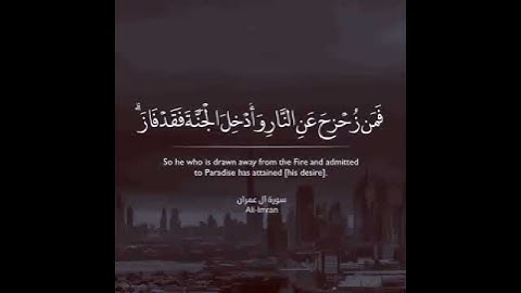 القارئ ياسر الدوسري  | ارح سمعك.. تلاوة هادئة تريح القلب والعقل💙🎧