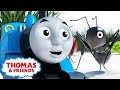 🚂 Thomas and the Giant Ants 🚂 | Thomas & Friends™ Magical Birthday Wishes | Kids Videos & Cartoons