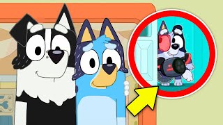 CONFIRMED: BLUEY IS HAVING A BABY! by CineWave 742,049 views 2 weeks ago 8 minutes, 37 seconds