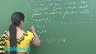 NEET-UG Phase 2 2016 - Video Solution for Biology questions 145 & 146
