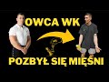 Owca wk  pozby si mini