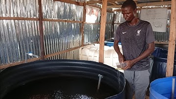 How to sort and grade your catfish Fingerlings the right way.