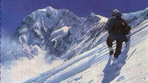 Dan Arvinte - Hermann Buhll