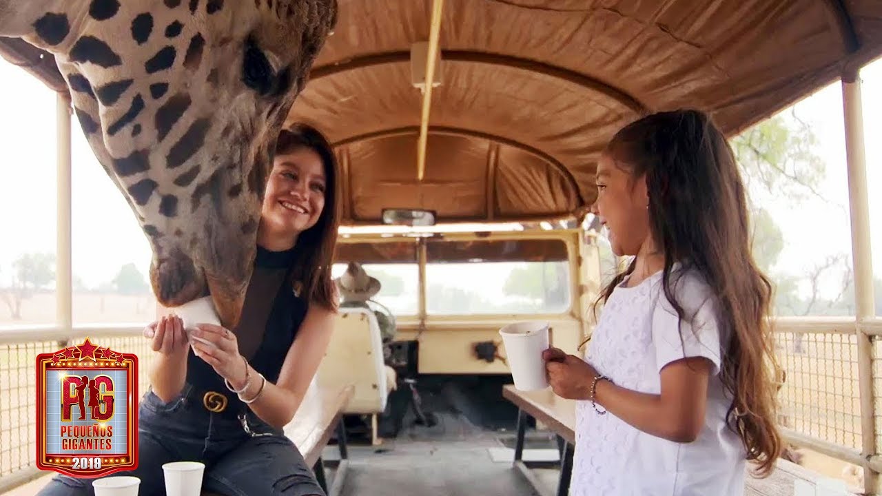 Karol Sevilla conoce a Luis Miguel, aunque es más alto que el que imaginaste | Pequeños Gigantes