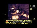 شعر باسم رهف 