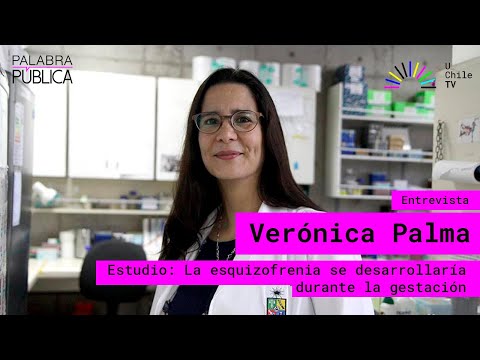 Palabra Pública - CAP 41: Estudio sobre la esquizofrenia en la gestación