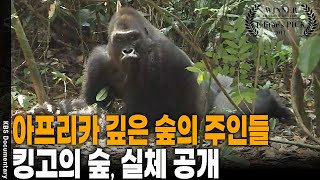 This is the real wild: The mighty creatures that rule Kingo's forest [Editor's Pick] | KBS 2011...
