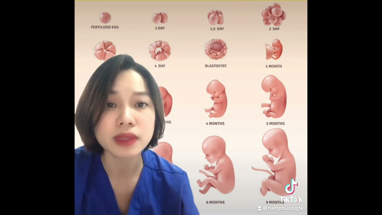 Nên dùng dự kiến sinh khi nào??? - youtube