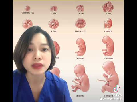 Video Nên dùng dự kiến sinh khi nào??? - youtube