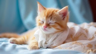 EXTREMELY Soothing Cat Therapy Music - Relax Your Cat! Cat Music